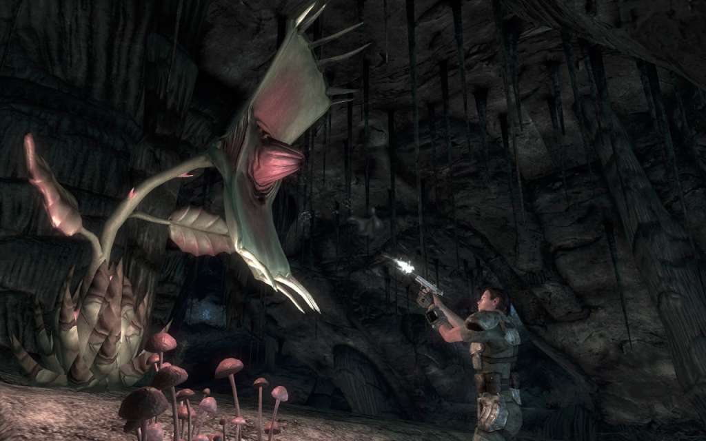 Fallout: New Vegas PC Steam CD Key screenshot 2