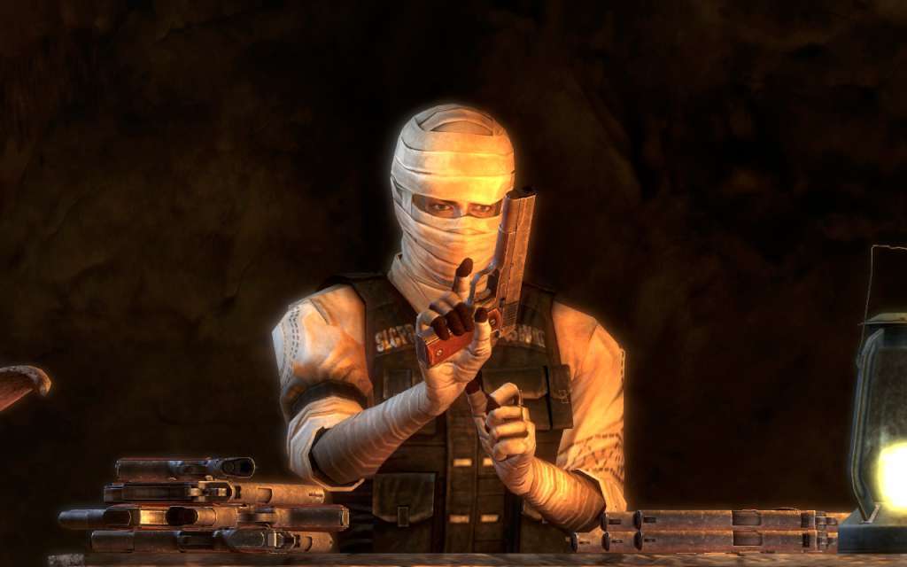 Fallout: New Vegas PC Steam CD Key screenshot 4
