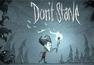 Don't Starve Steam CD Key