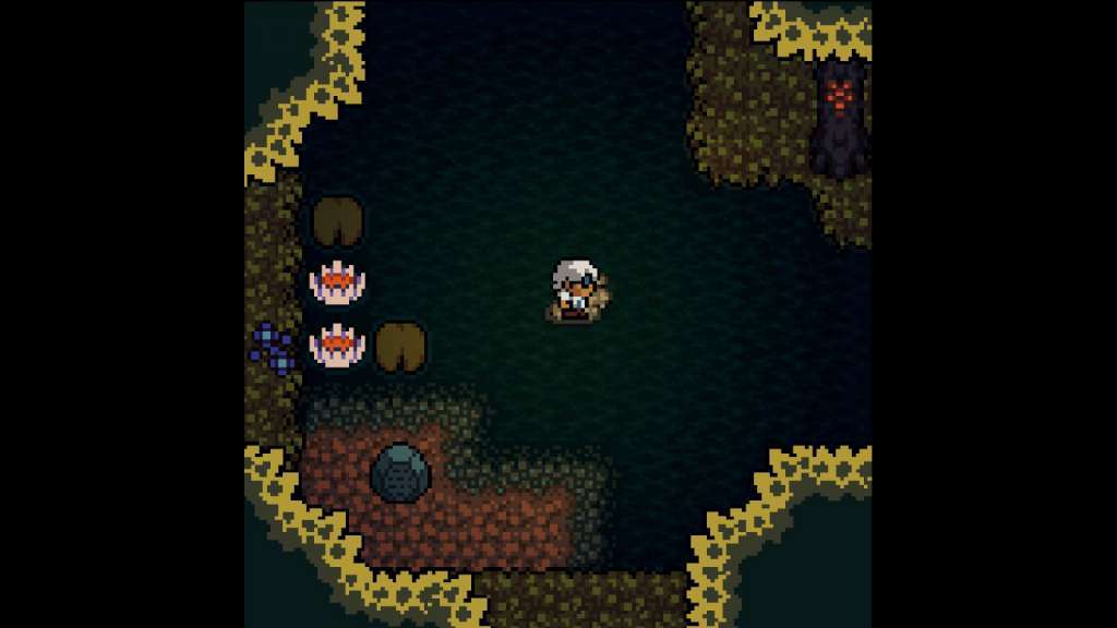 Anodyne PC Steam CD Key screenshot 2