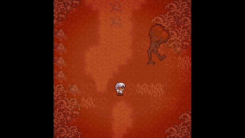 Anodyne PC Steam CD Key screenshot 3