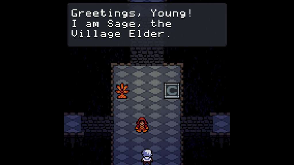 Anodyne PC Steam CD Key screenshot 7