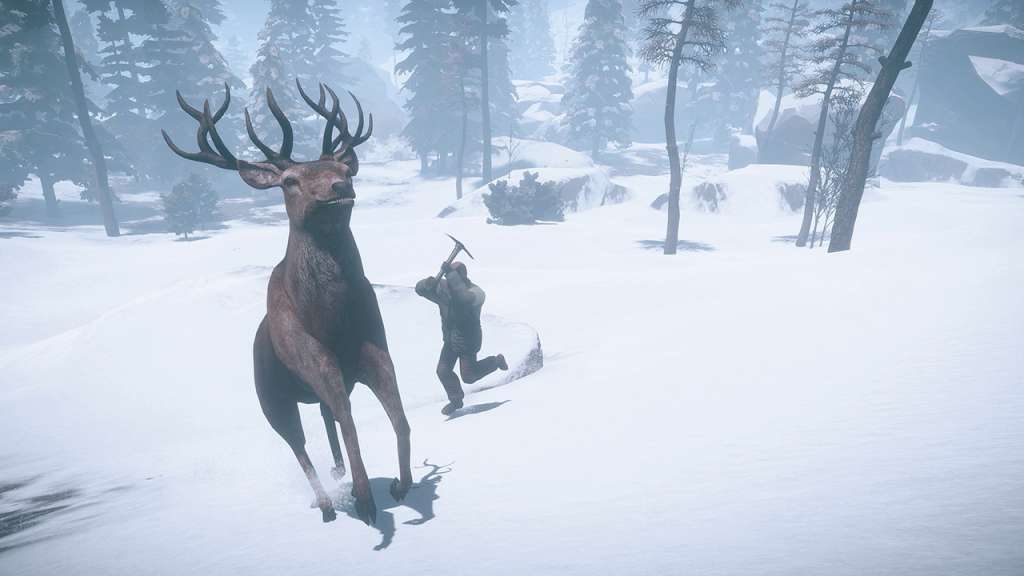 RUST PC Steam CD Key screenshot 3