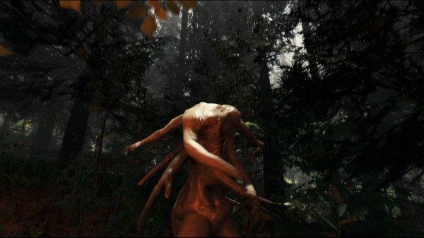 The Forest PC Steam CD Key screenshot 3