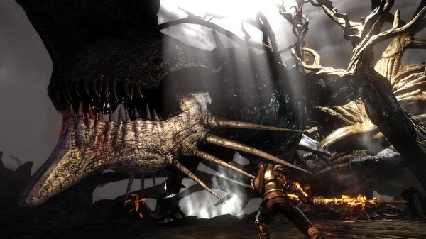 Bound By Flame EU Steam CD Key screenshot 5