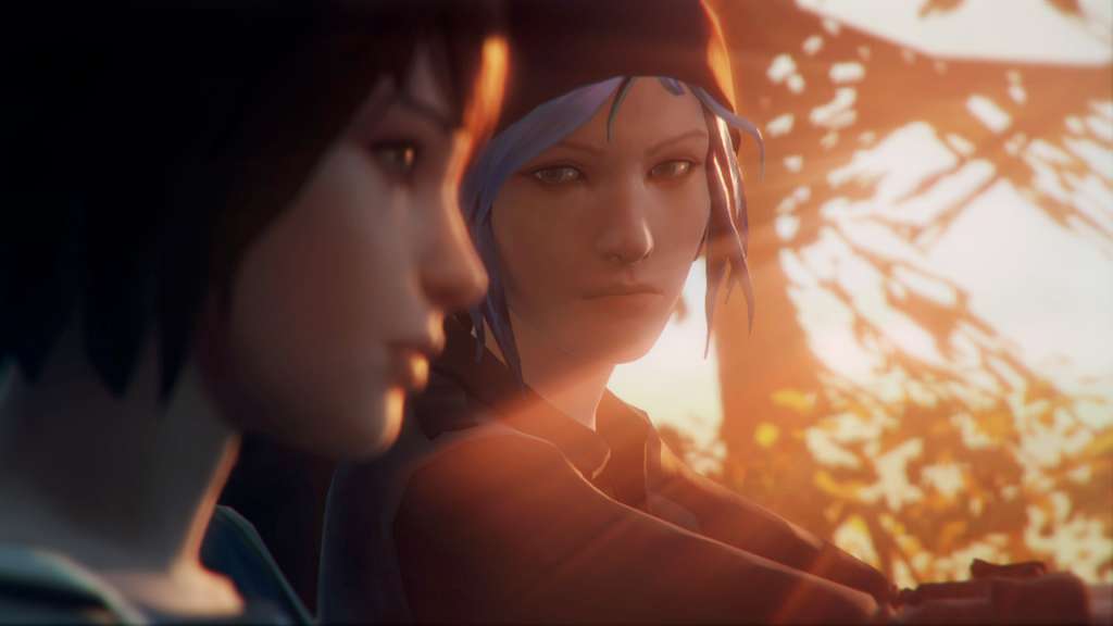 Life is Strange Season Pass (Episodes 2-5) PC Steam CD Key screenshot 4