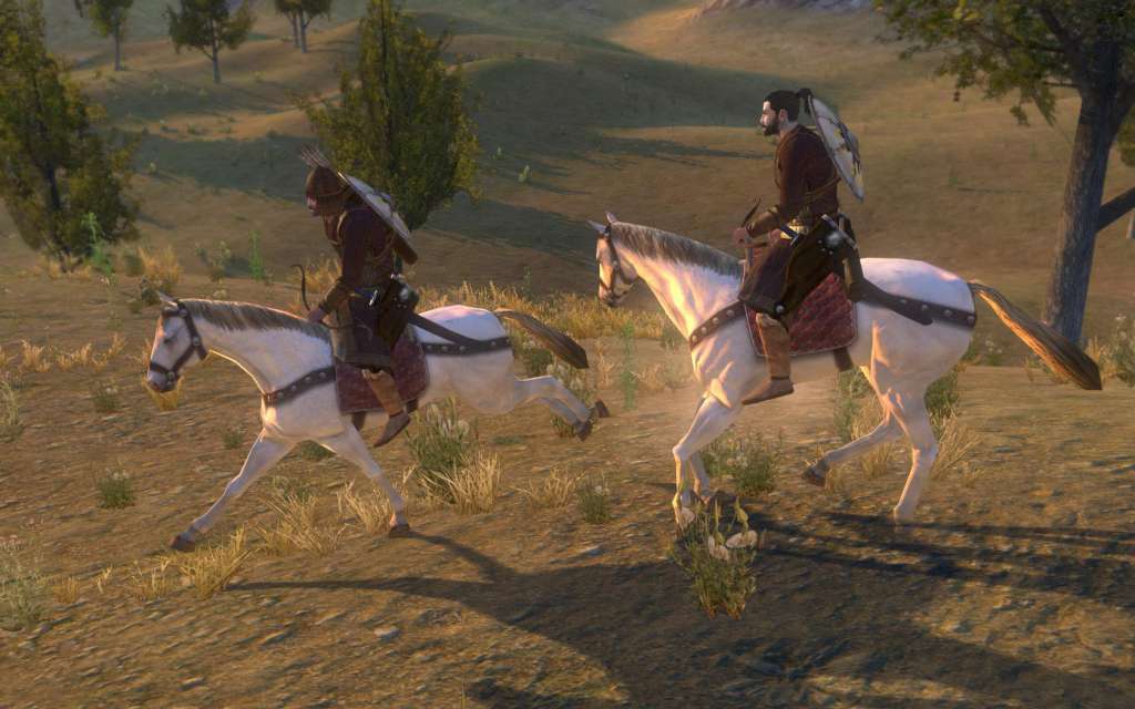 Mount & Blade: Warband GOG CD Key screenshot 2