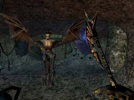 The Elder Scrolls III Morrowind GOTY GOG CD Key screenshot 4