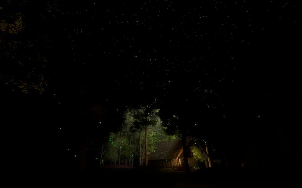 Fireflies Steam CD Key screenshot 3
