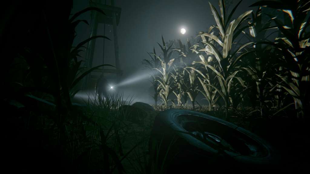 Outlast 2 PC GOG CD Key screenshot 4