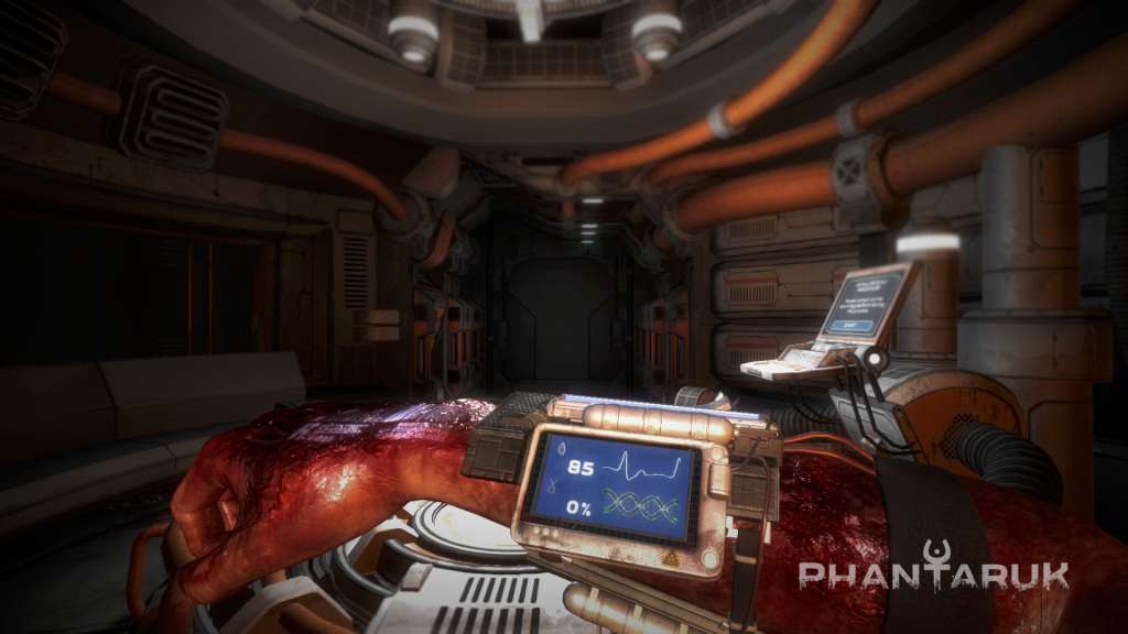 Phantaruk EU Steam CD Key screenshot 4