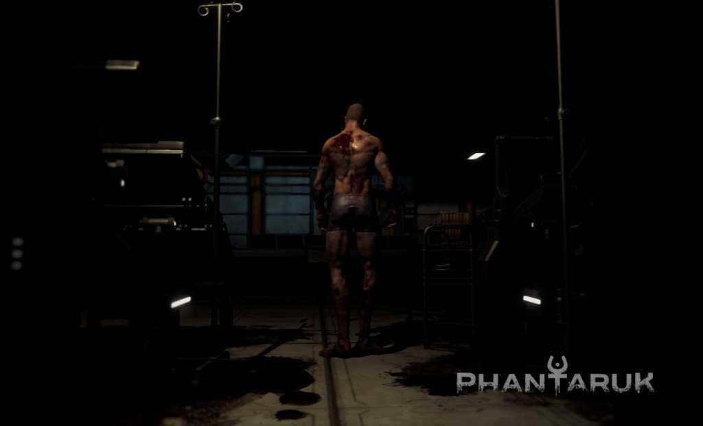 Phantaruk EU Steam CD Key screenshot 5