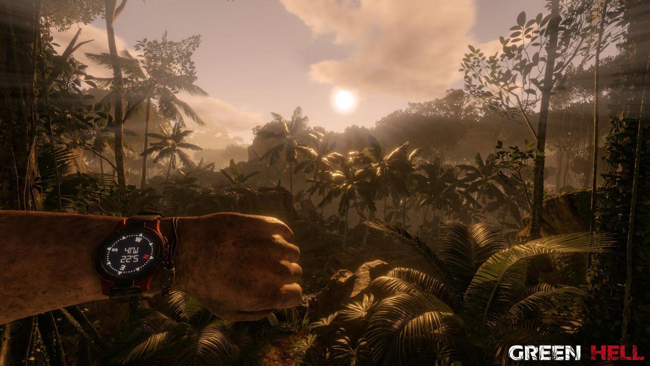 Green Hell Steam CD Key screenshot 4