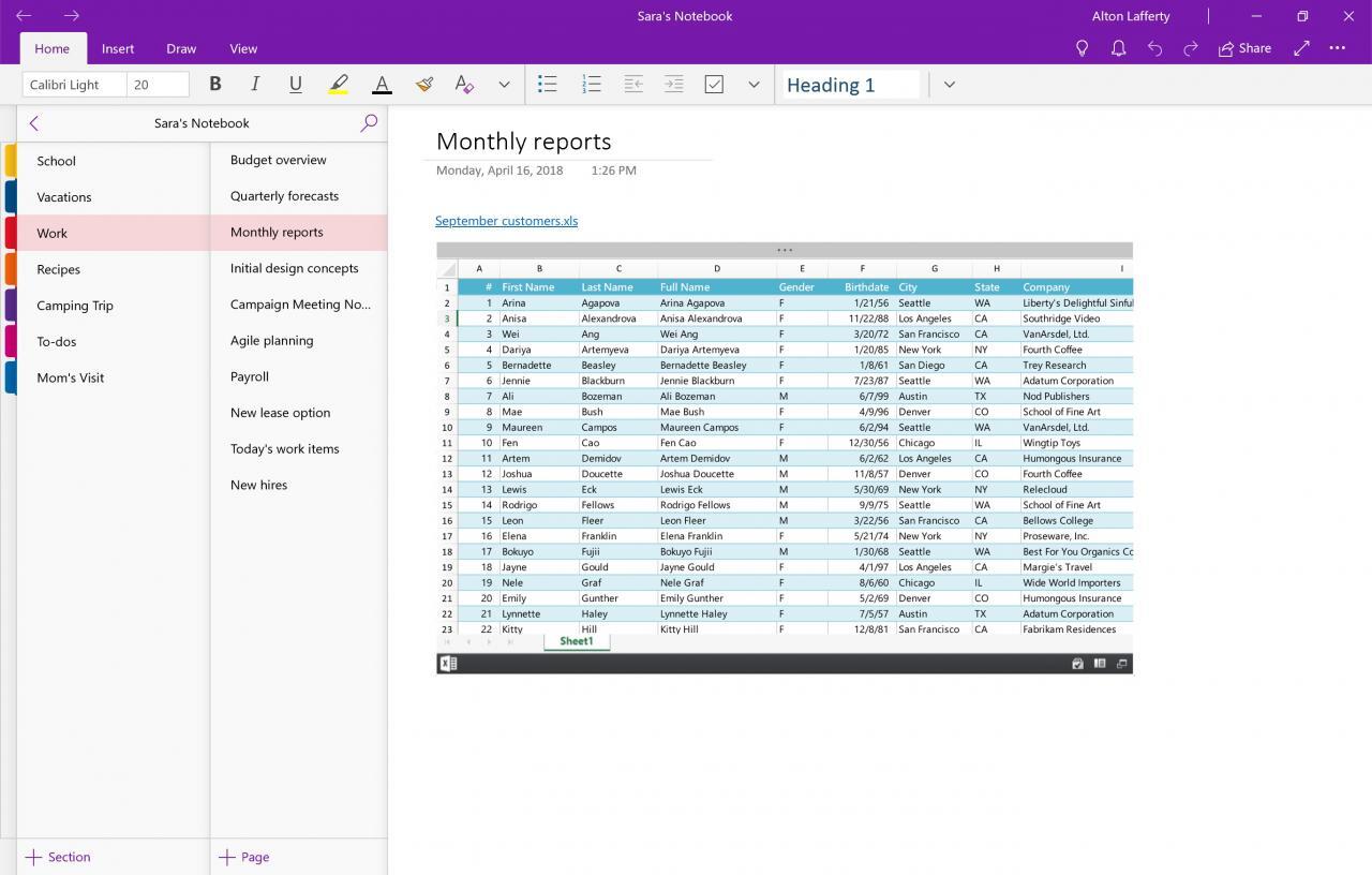 MS Office 2019 Professional Plus Retail Key screenshot 3