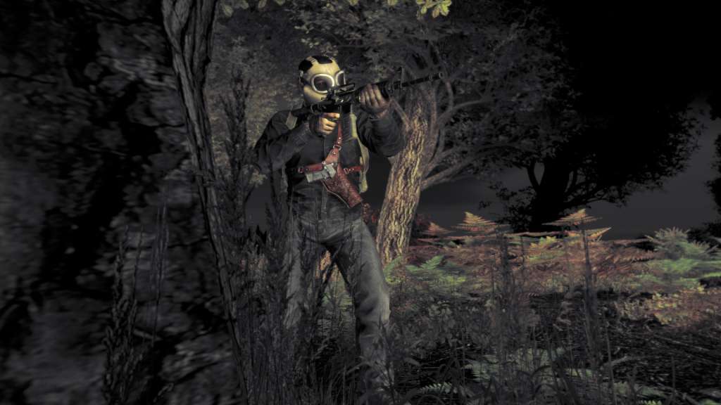 DayZ EU PC Steam CD Key screenshot 2