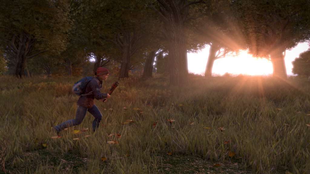 DayZ EU PC Steam CD Key screenshot 4