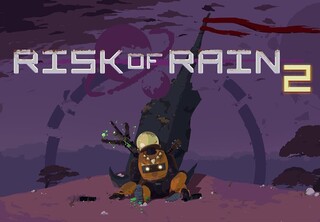Risk of Rain 2 EN Language Only Steam CD Key