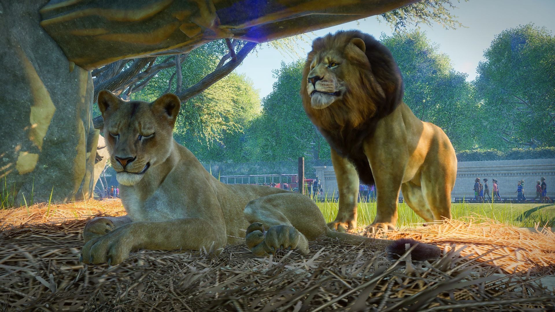 Planet Zoo Deluxe Edition PC Steam CD Key screenshot 2