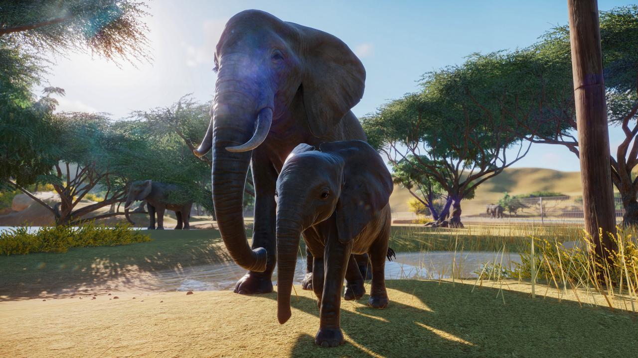 Planet Zoo Deluxe Edition PC Steam CD Key screenshot 4