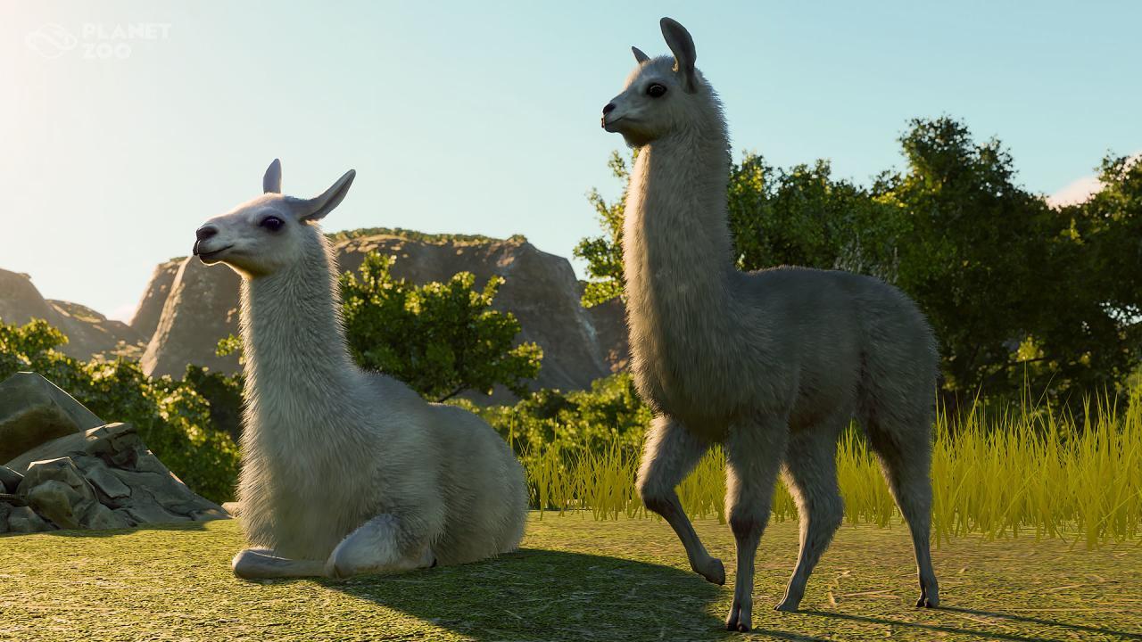 Planet Zoo - South America Pack DLC PC Steam CD Key screenshot 3