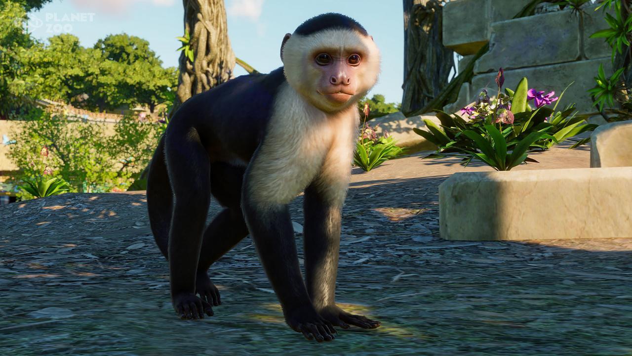 Planet Zoo - South America Pack DLC PC Steam CD Key screenshot 6