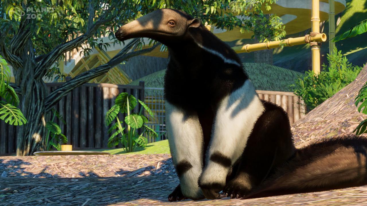 Planet Zoo - South America Pack DLC PC Steam CD Key screenshot 7