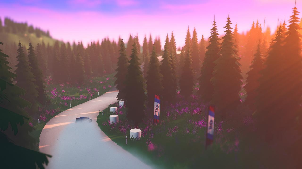 Art of Rally RoW Steam CD Key screenshot 2