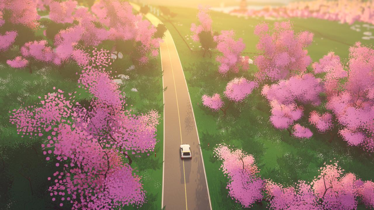Art of Rally RoW Steam CD Key screenshot 5