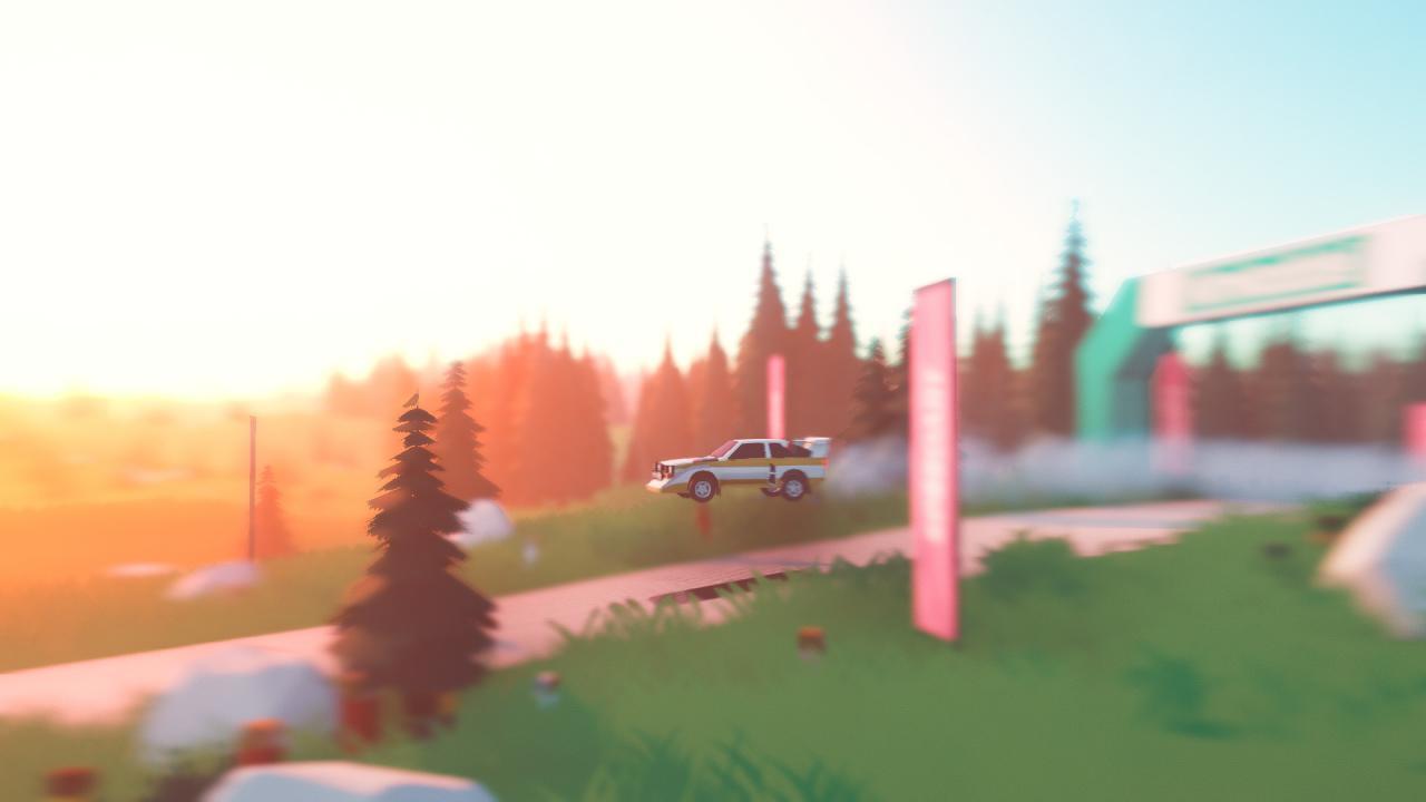 Art of Rally RoW Steam CD Key screenshot 9