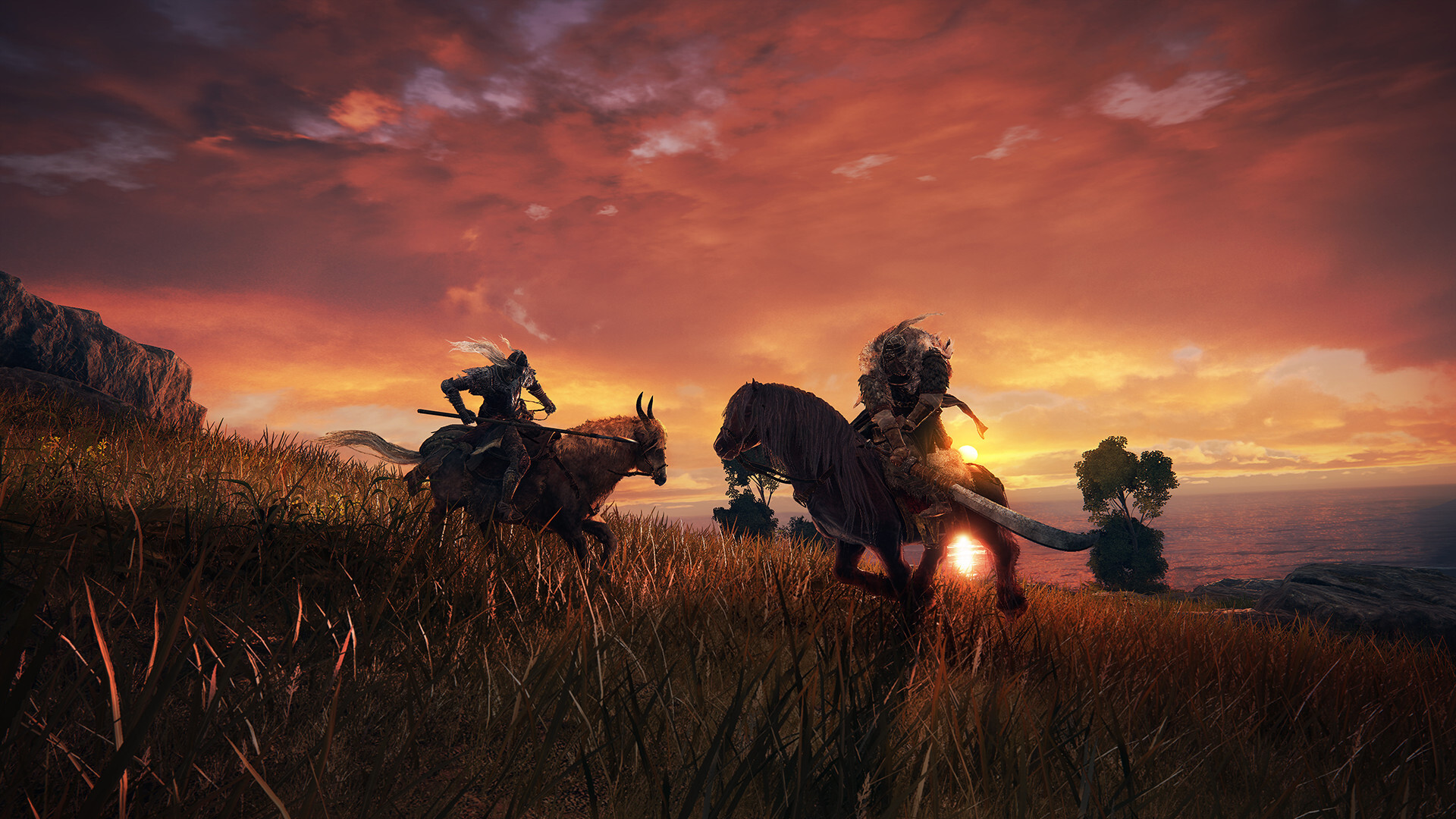 Elden Ring EU Steam CD Key screenshot 6
