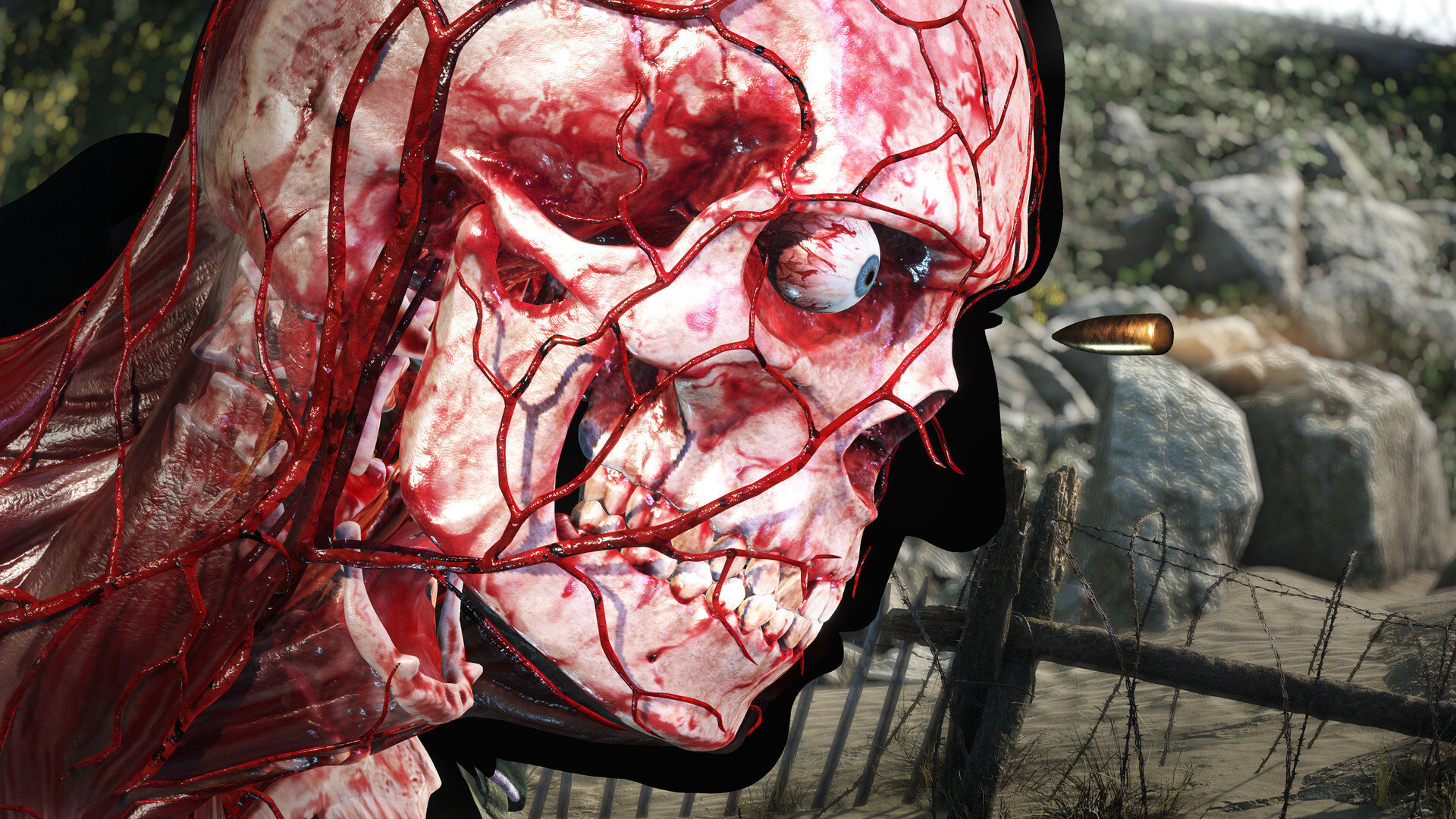 Sniper Elite 5 PC Steam CD Key screenshot 8