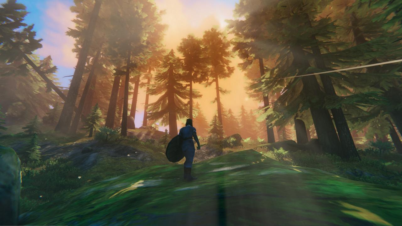 Valheim EU Steam CD Key screenshot 6