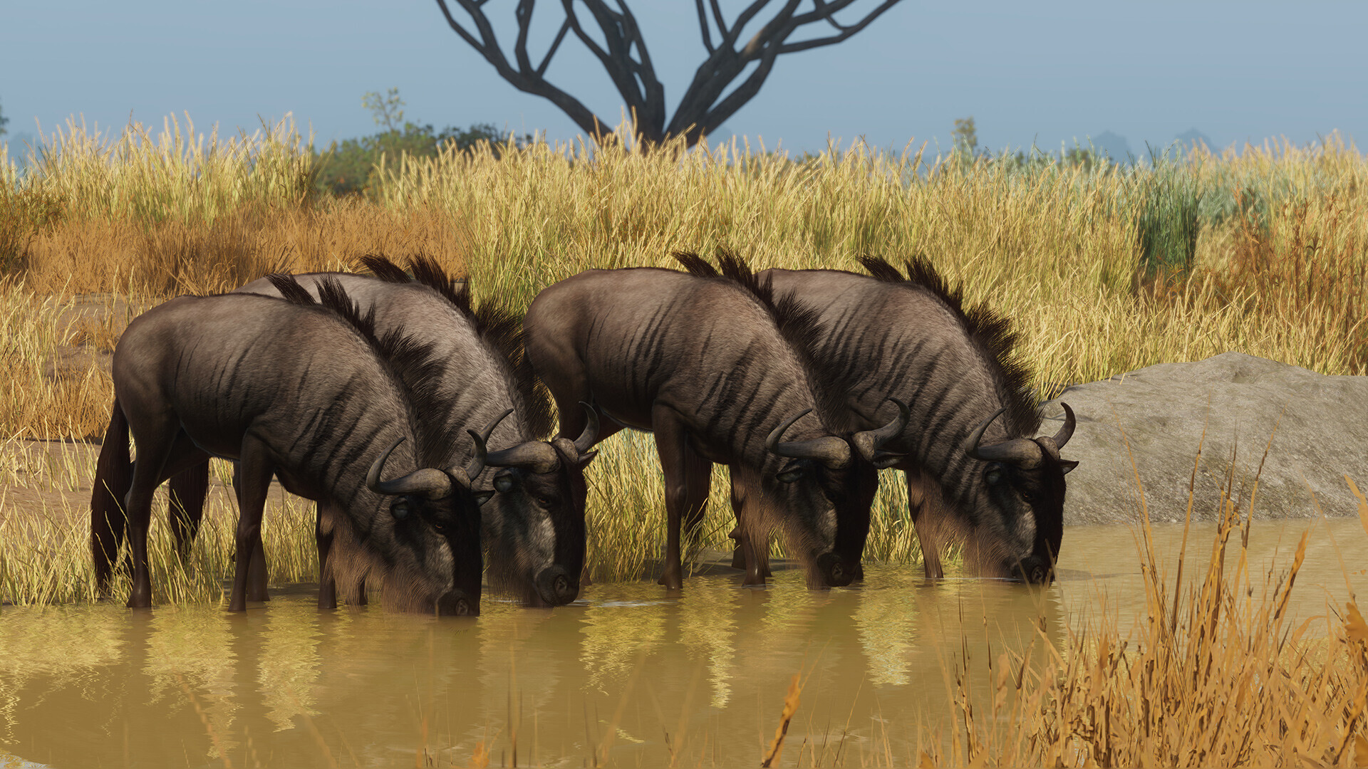 Planet Zoo - Grasslands Animal Pack DLC Steam CD Key screenshot 3