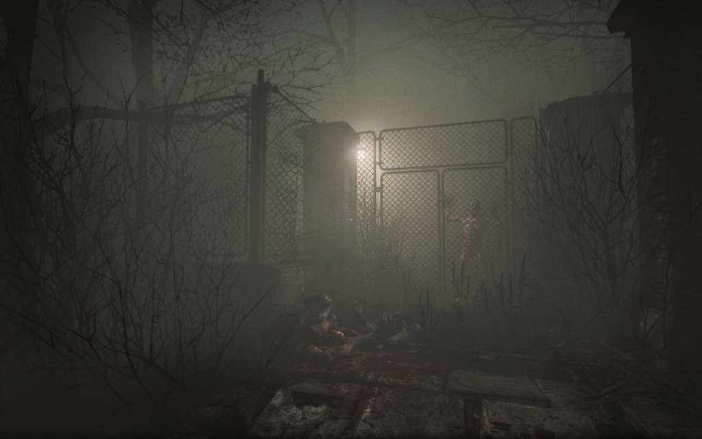 Outlast + Outlast 2 Bundle PC Steam CD Key screenshot 3