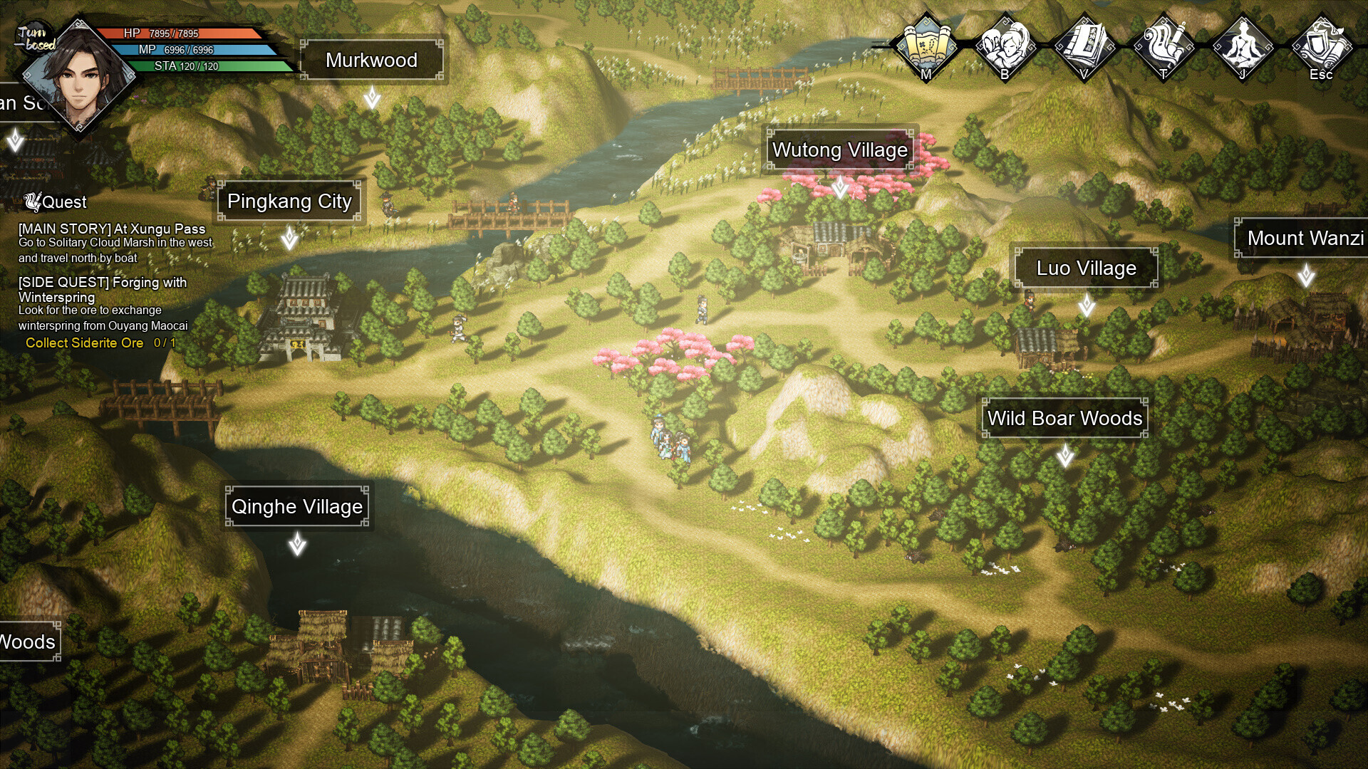 Wandering Sword PC Steam CD Key screenshot 9