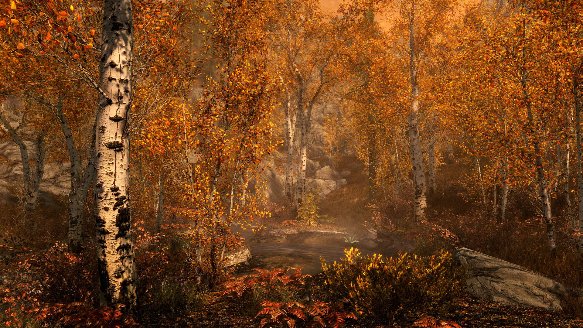 The Elder Scrolls V: Skyrim Anniversary Edition PC GOG CD Key screenshot 4