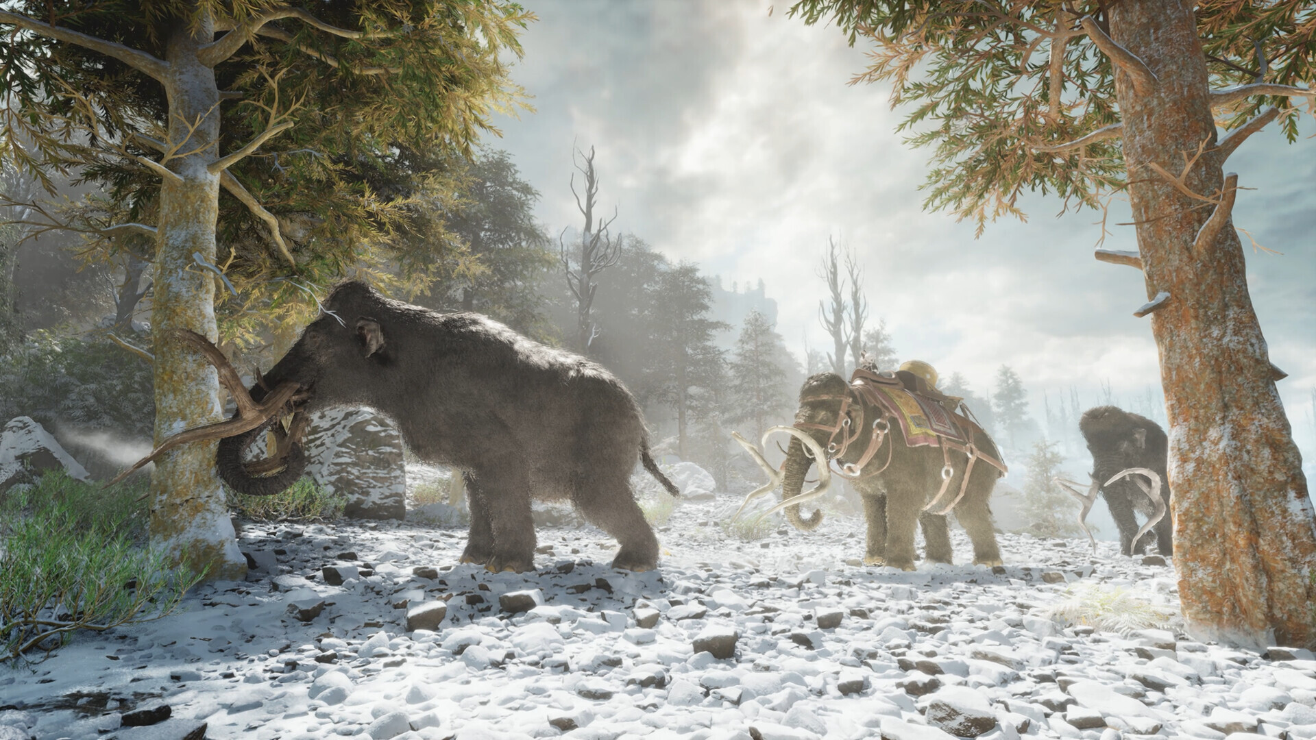 ARK: Survival Ascended EU Xbox Series X|S / PC CD Key screenshot 7
