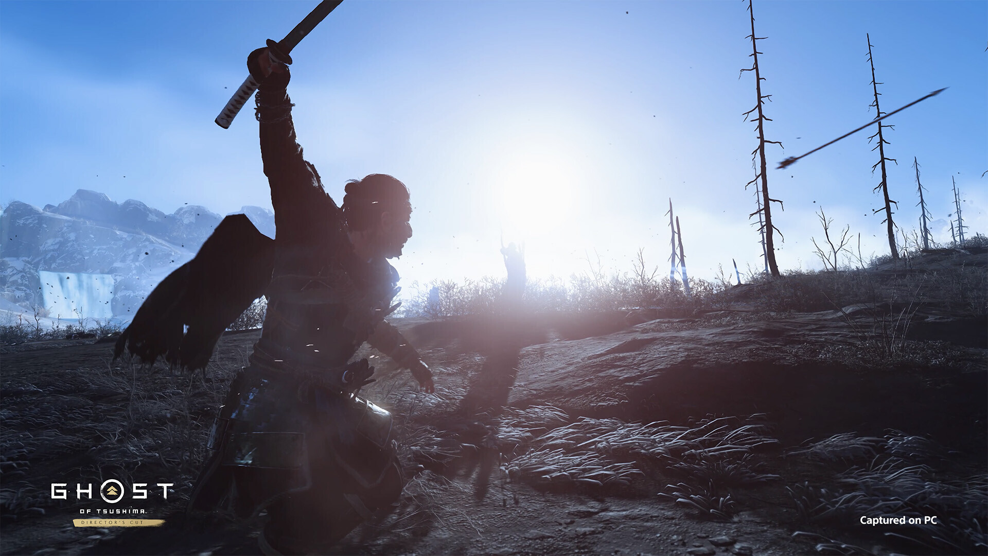 Ghost of Tsushima Director's Cut PC Steam CD Key screenshot 2