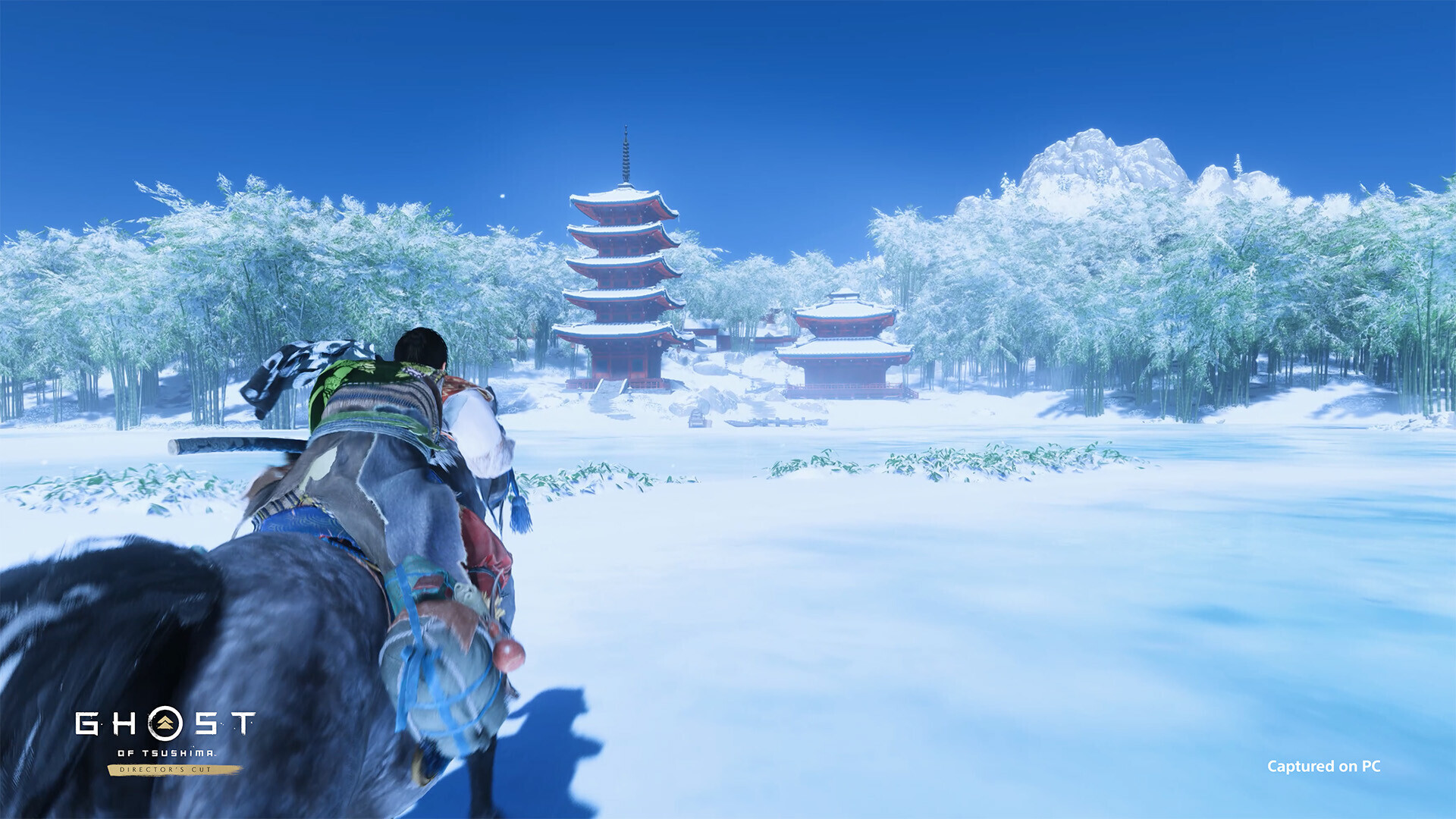 Ghost of Tsushima Director's Cut PC Steam CD Key screenshot 4