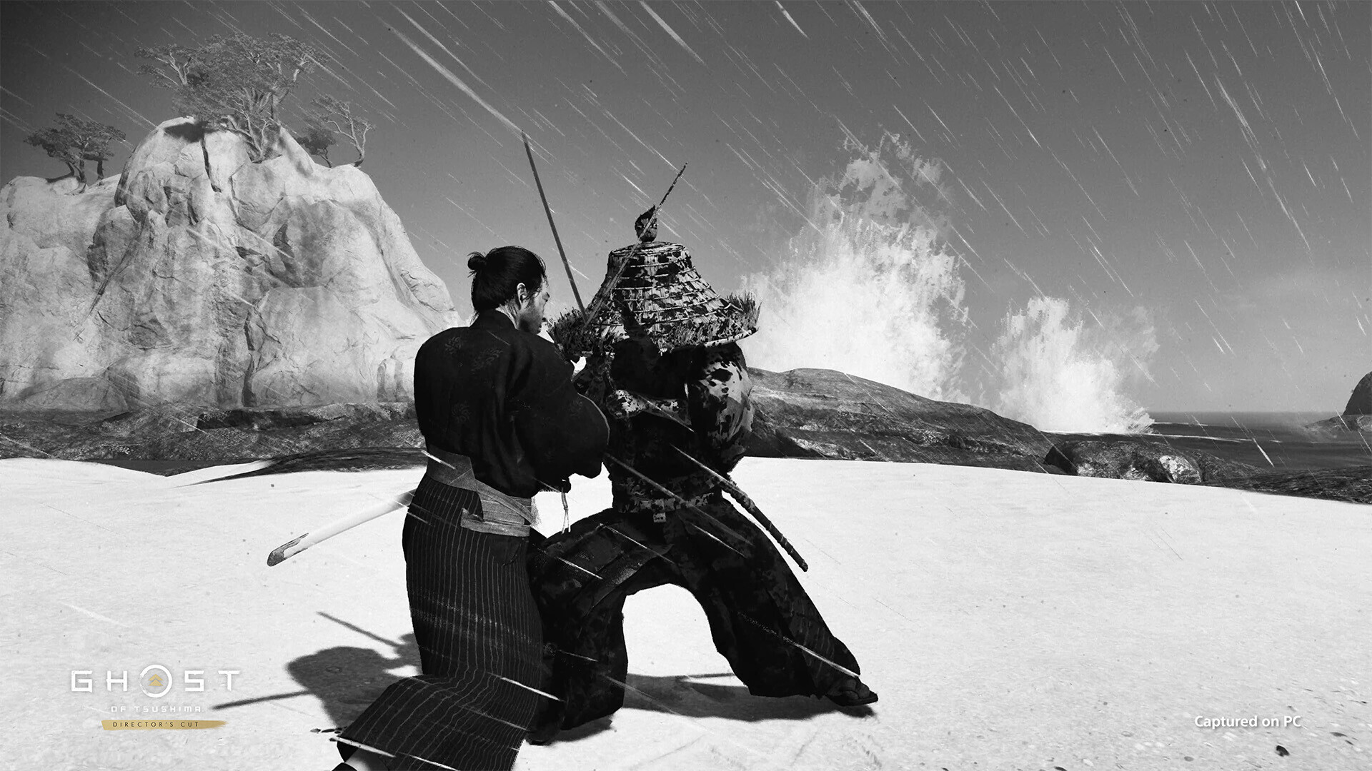 Ghost of Tsushima Director's Cut PC Steam CD Key screenshot 5