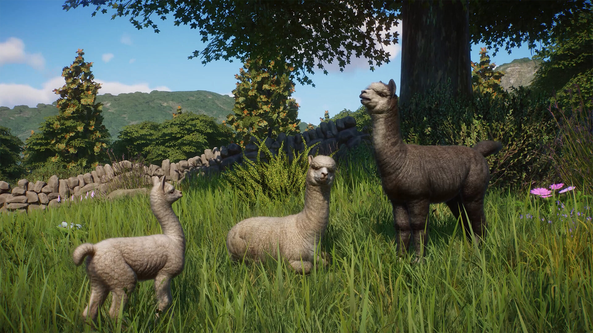 Planet Zoo - Barnyard Animal Pack DLC PC Steam CD Key screenshot 2