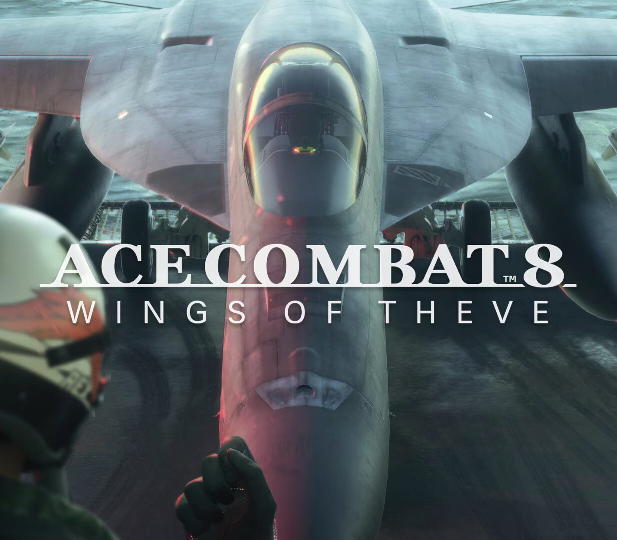 ACE COMBAT 8: WINGS OF THEVE + Pre-order Bonus DLC PC Steam CD Key